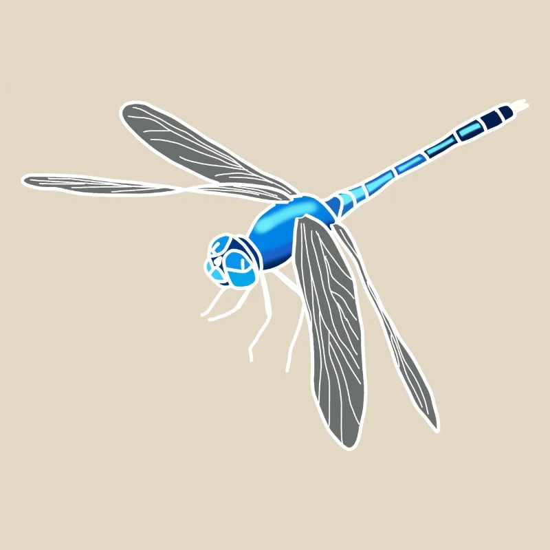 Libellule
