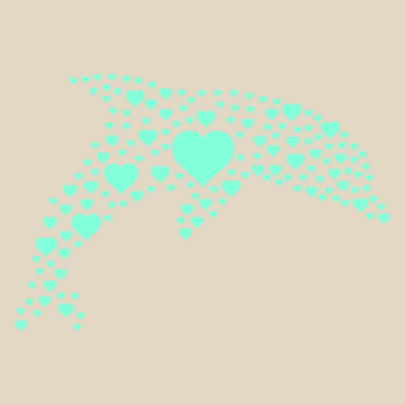 Delfin Herzmuster