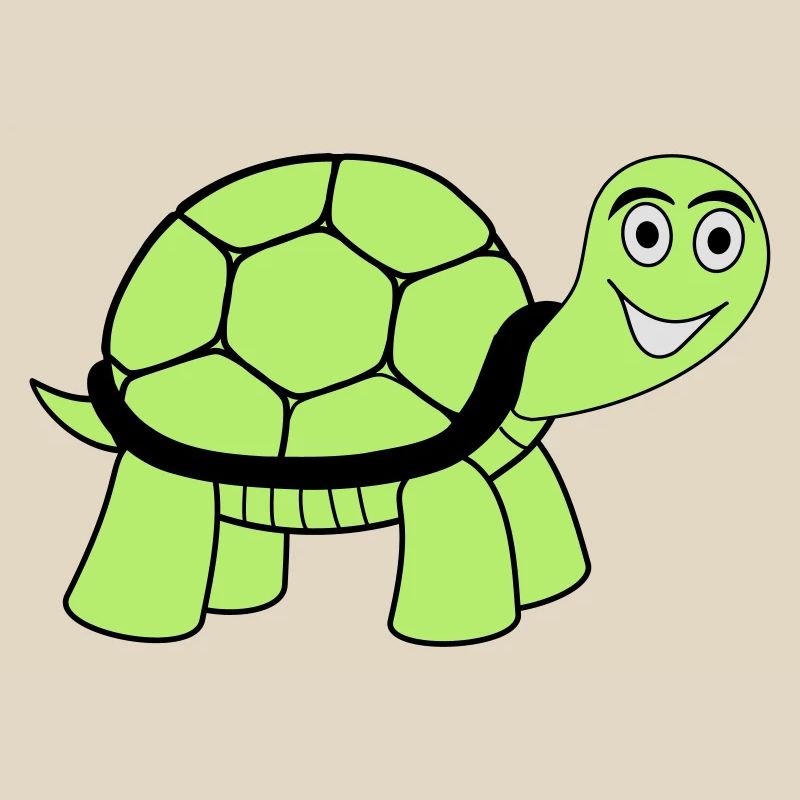 turtle