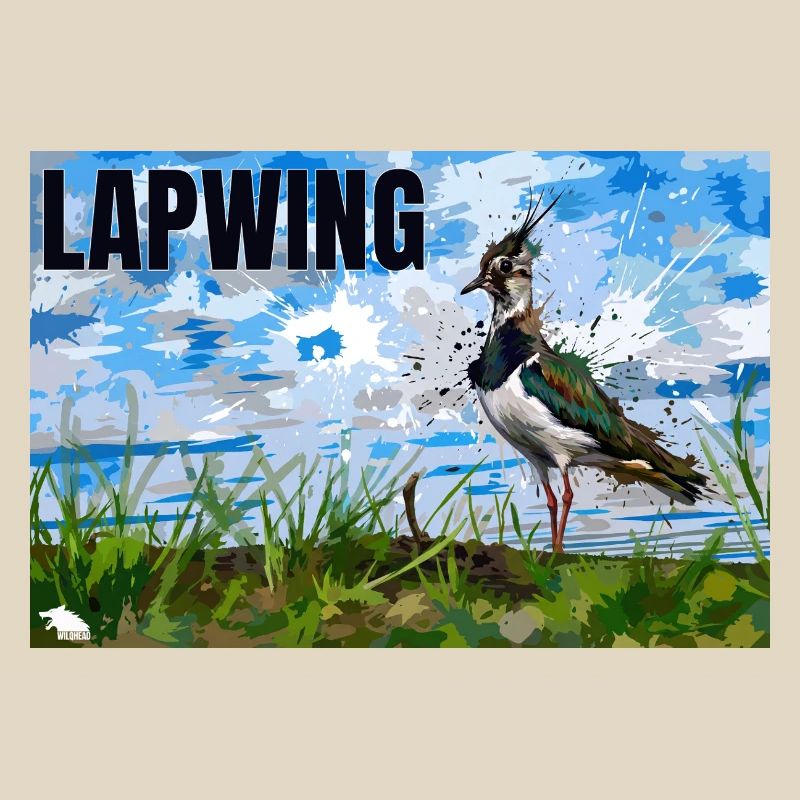LAPWING