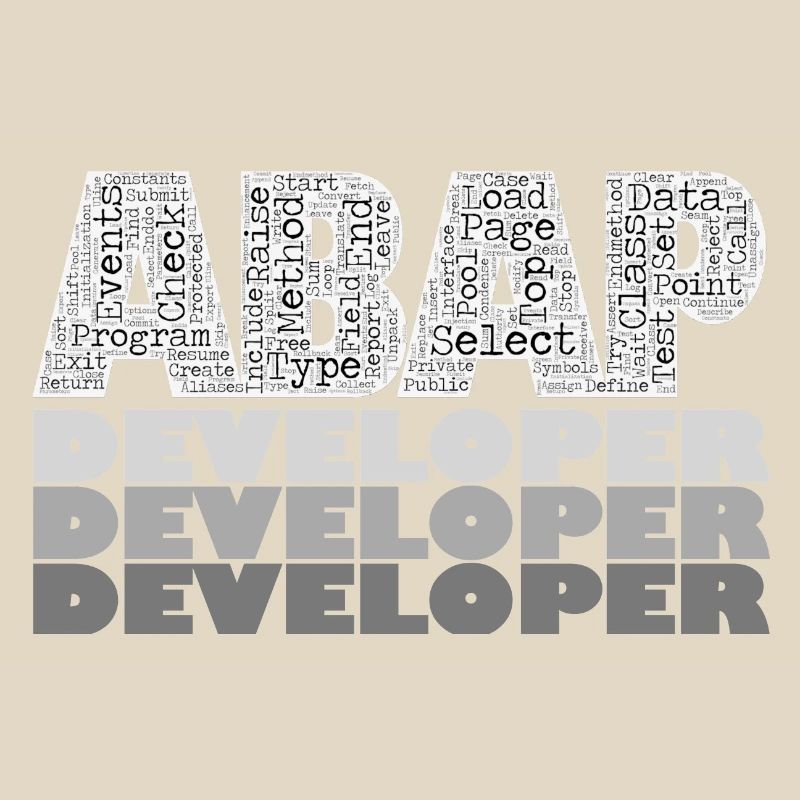 ABAP Developer