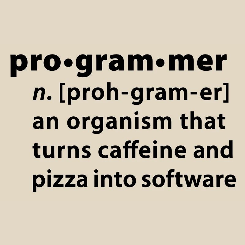 Programmer Wörterbuchdefinition