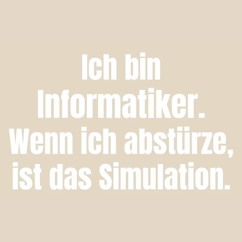 I'm a computer scientist – crash as a simulation