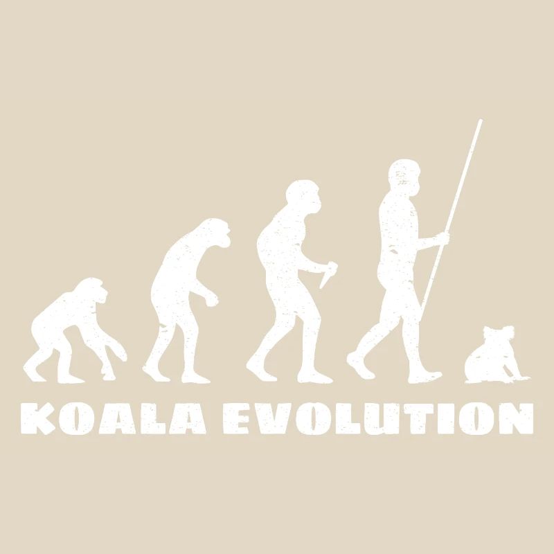 Évolution du koala