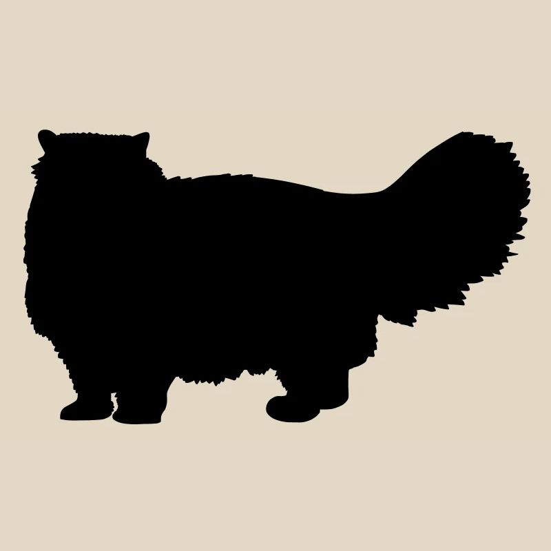 Chat persan