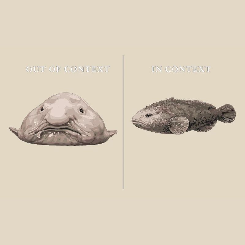 Blobfish hors contexte vs comparaison dans le contexte