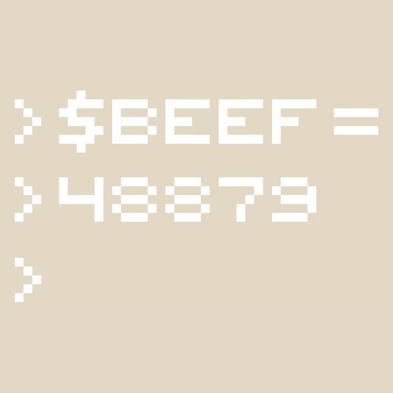 BEEF 8-bit Code Nerd Pixel Terminal Rétro