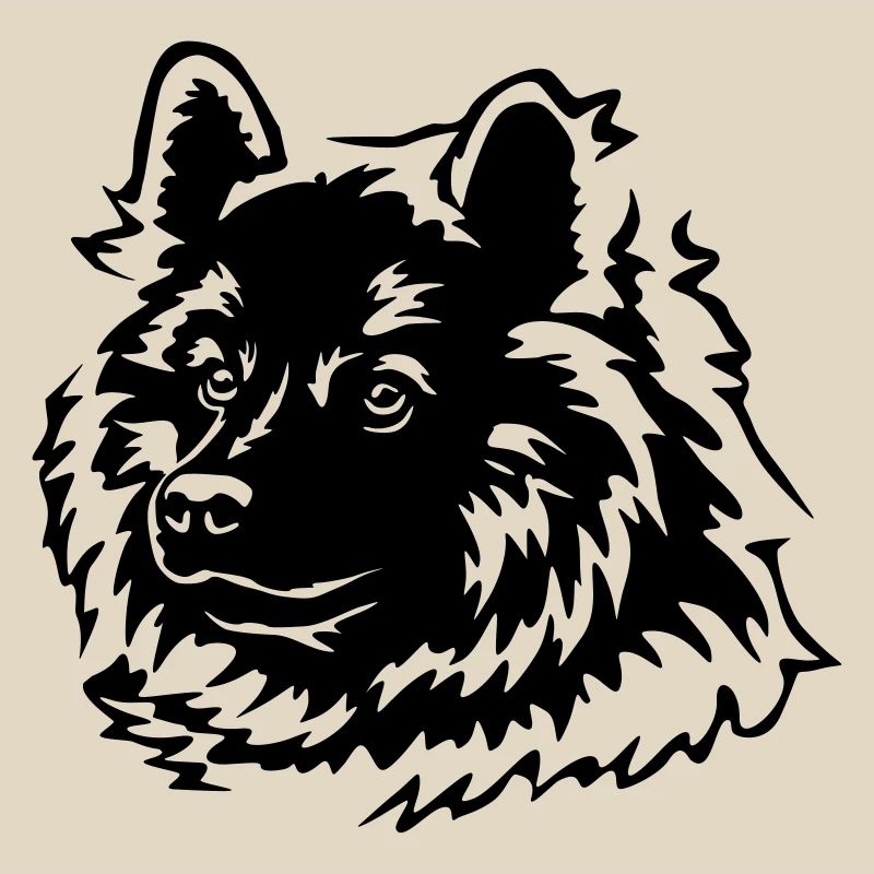 Eurasier Kopf