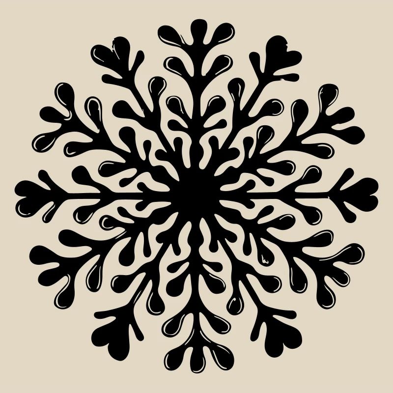 Snowflake Winter Icon