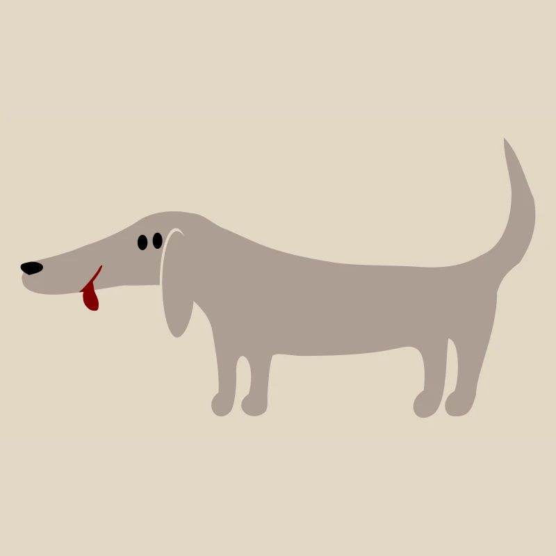 Dachshund