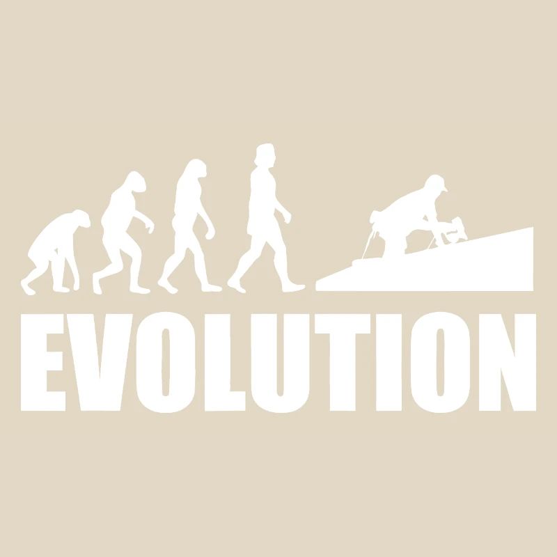 Evolution to Innovation