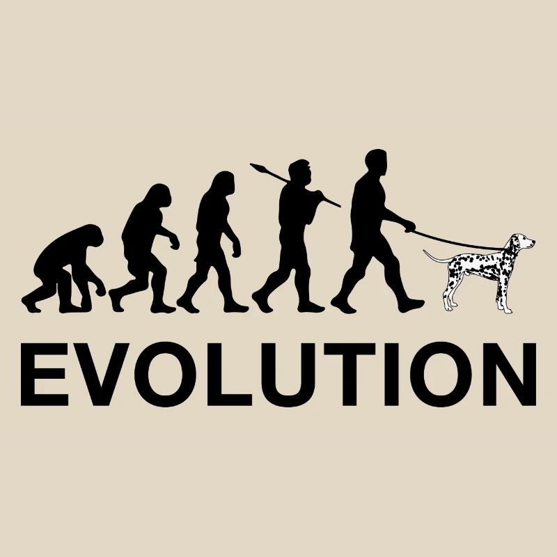 Evolution