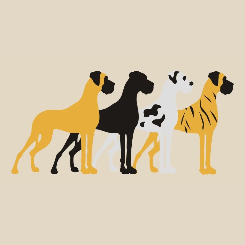 Four basic colors Great Dane
