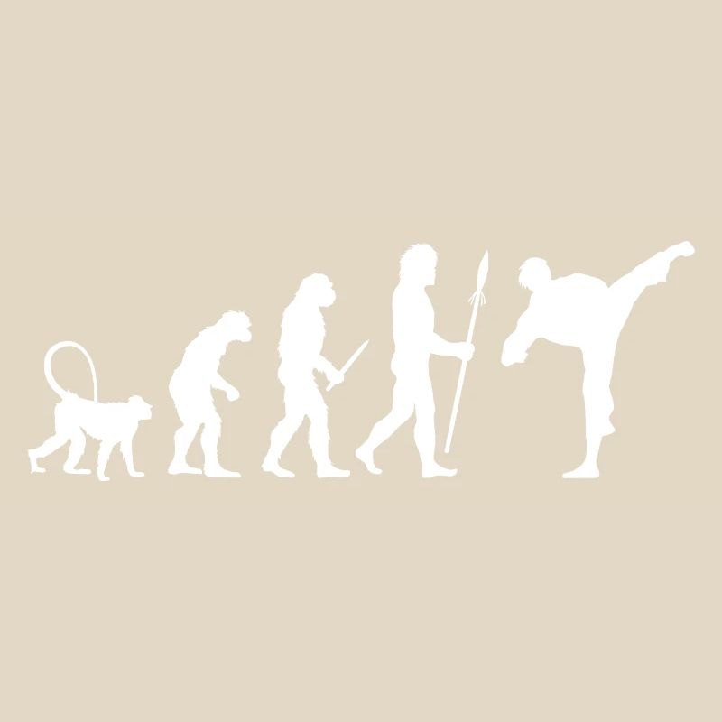 Karate Evolution
