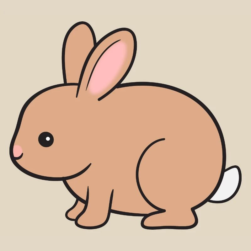 Rabbit Rabbit
