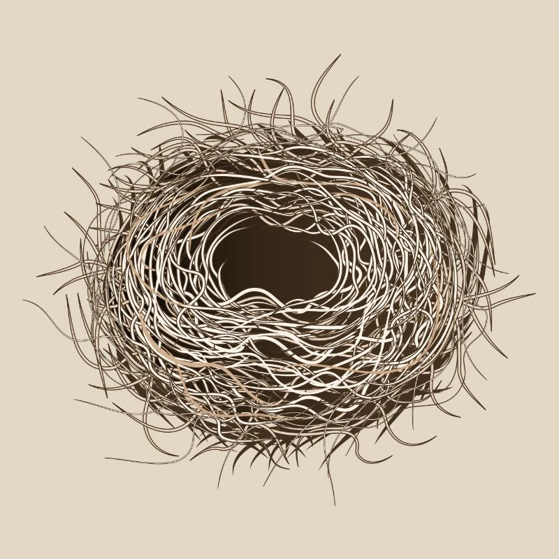 empty bird's nest or easter basket for spring