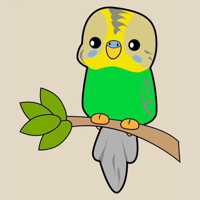 Budgerigar Parrot