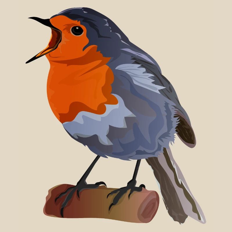 Robin Bird Illustration on Textile