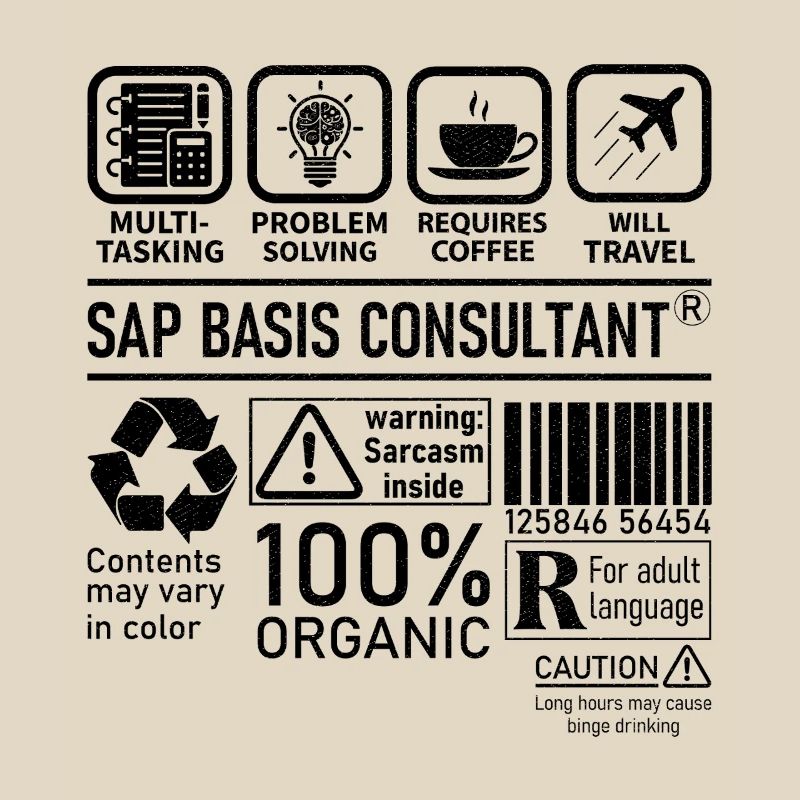 Sap Basis Consultant multi tasking problem solving