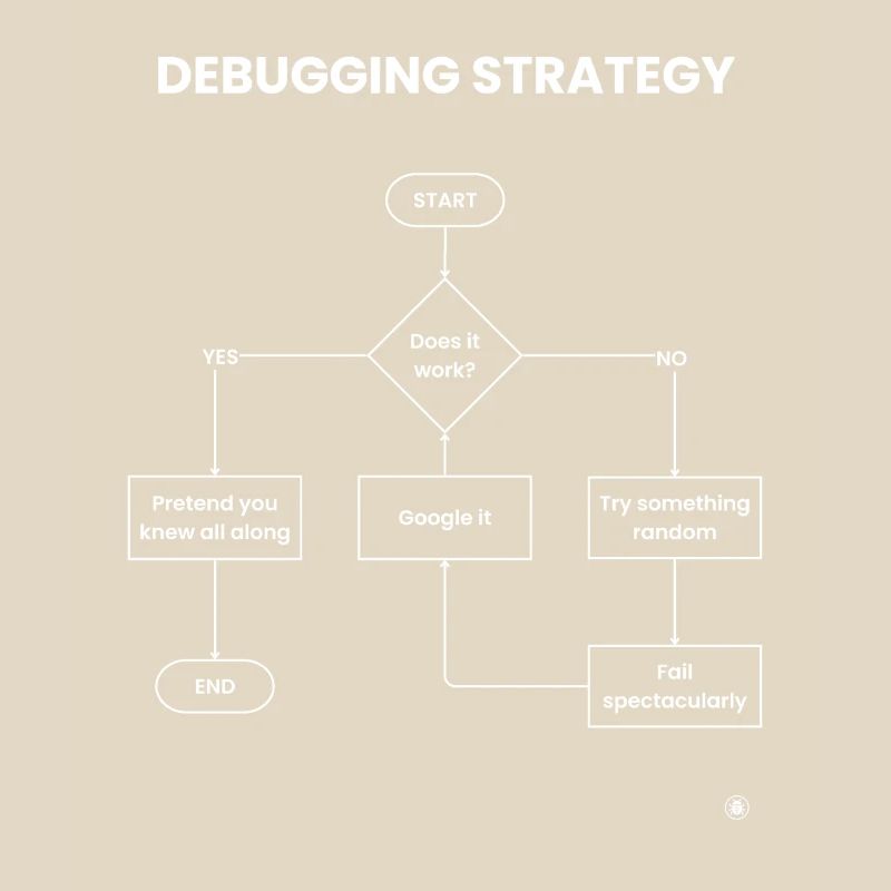 Debugging Strategy Flowchart - Does It Work Gift
