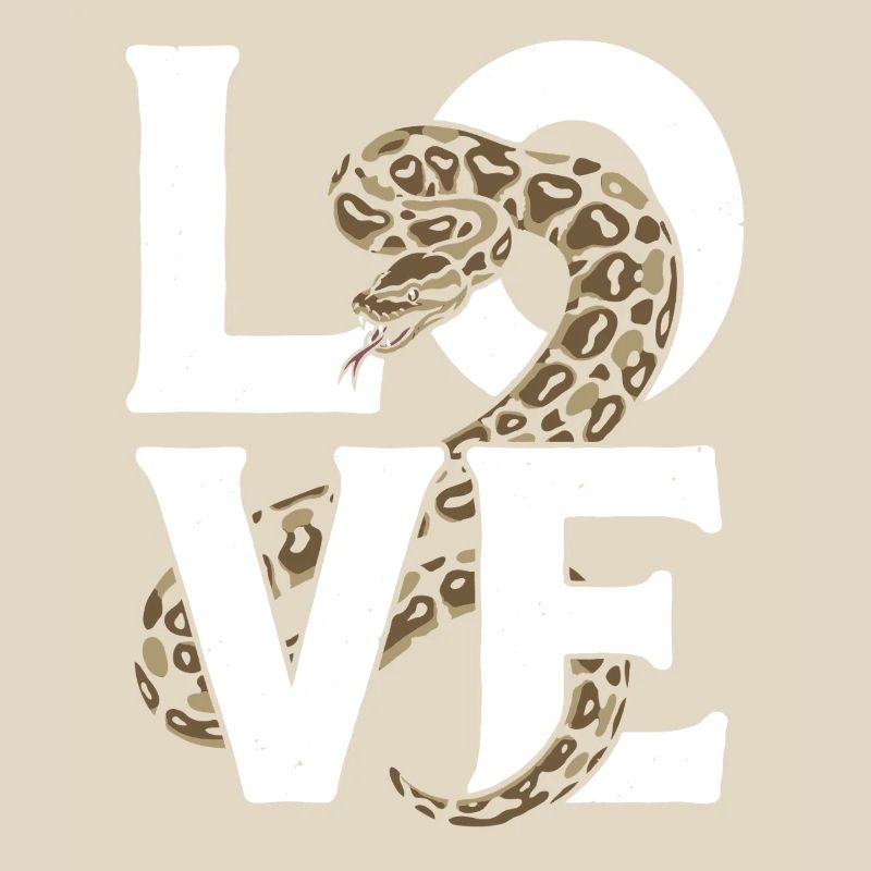 Les serpents rois Python ADORENT les pythons de terrarium