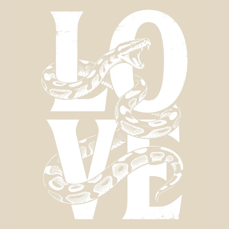 King Python Snakes LOVE Terrarium Python