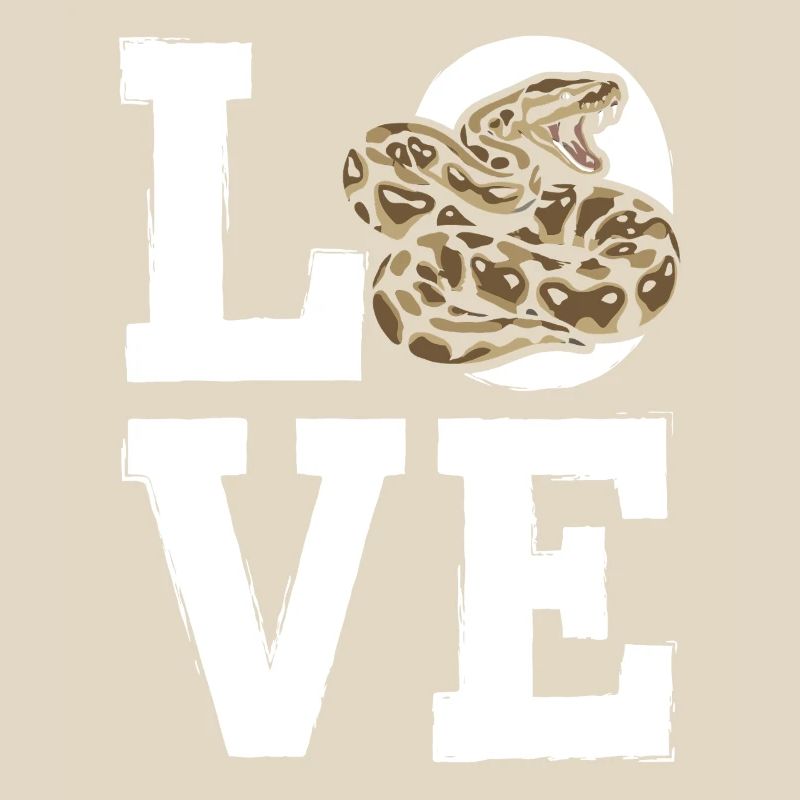 King Python Snakes LOVE Terrarium Python