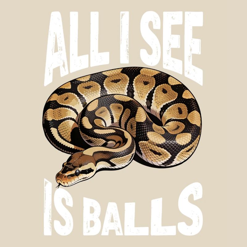 Königspython Schlangen Liebhaber Terrarium Python