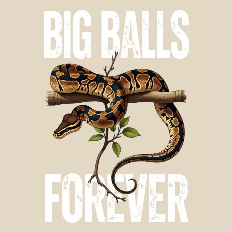 Python roi Serpents Amateurs de terrarium Python