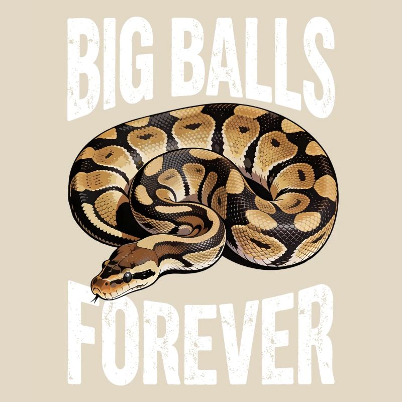 Königspython Schlangen Liebhaber Terrarium Python