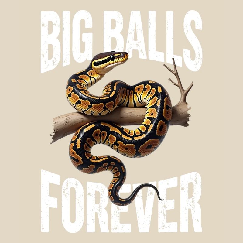 King Python Snakes Lover Terrarium Python