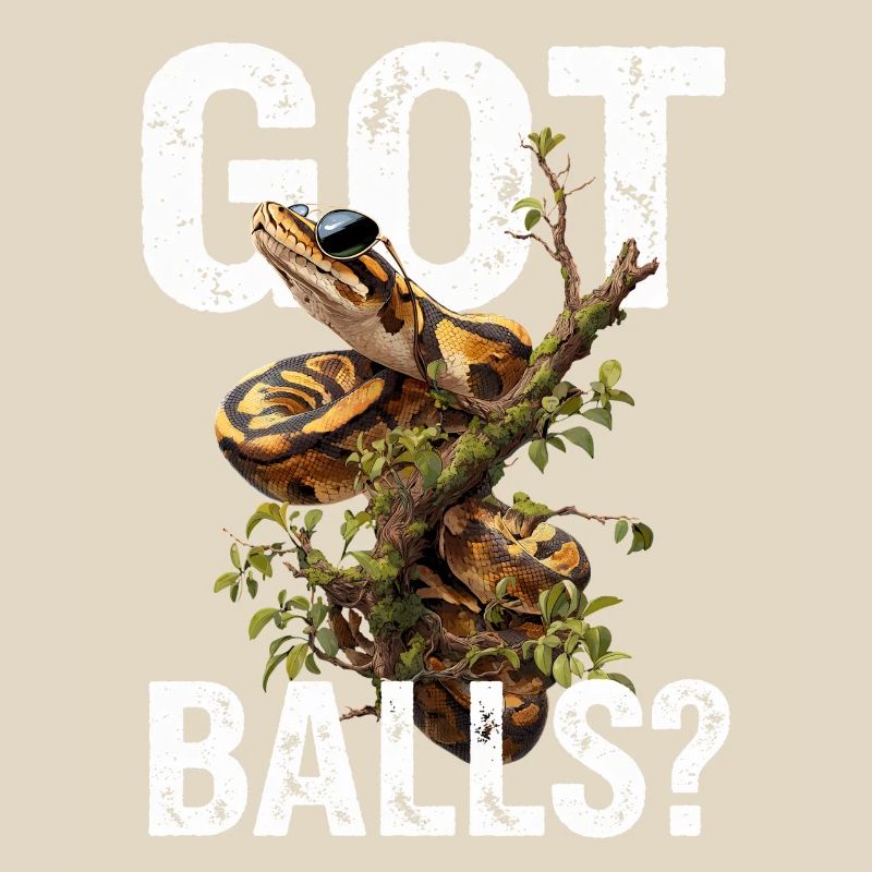 Königspython Schlangen Liebhaber Terrarium Python