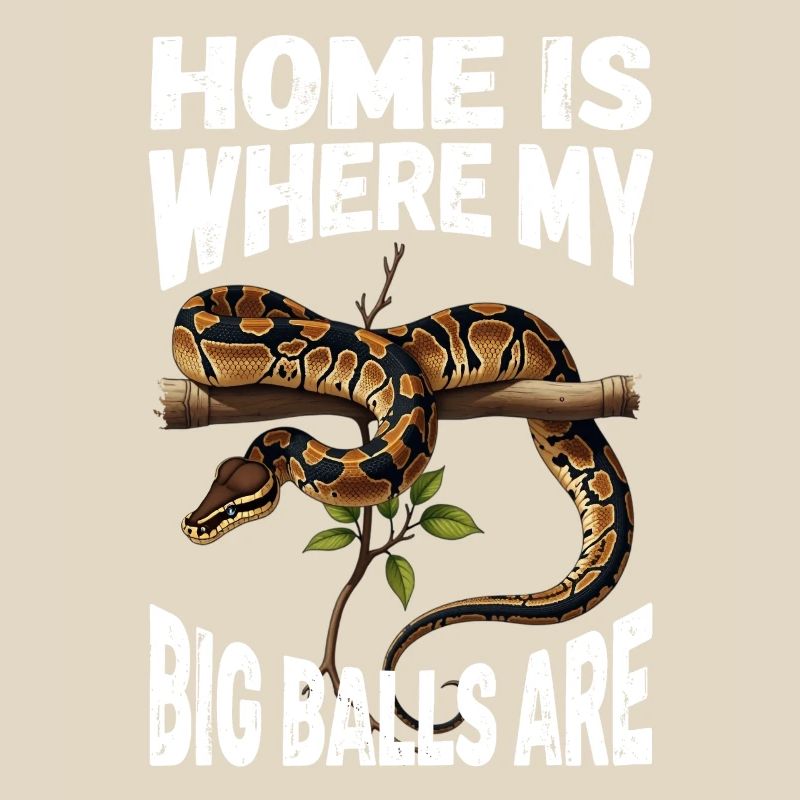 Königspython Schlangen Liebhaber Terrarium Python