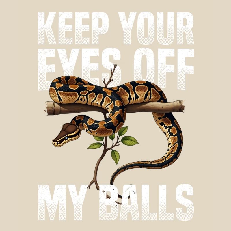 Python roi Serpents Amateurs de terrarium Python