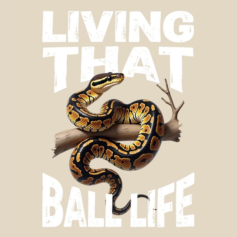 Königspython Schlangen Liebhaber Terrarium Python