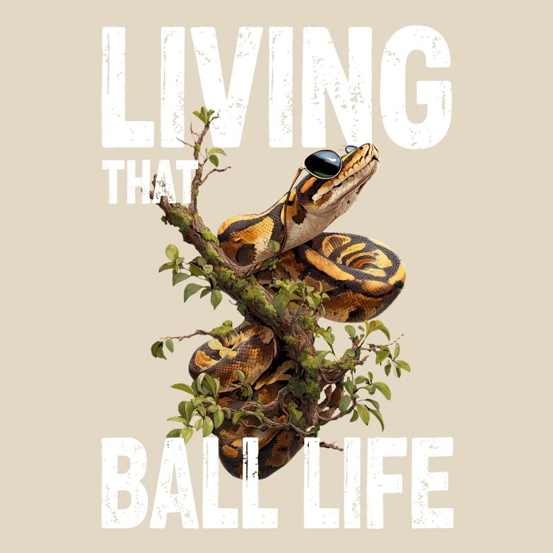 Python roi Serpents Amateurs de terrarium Python