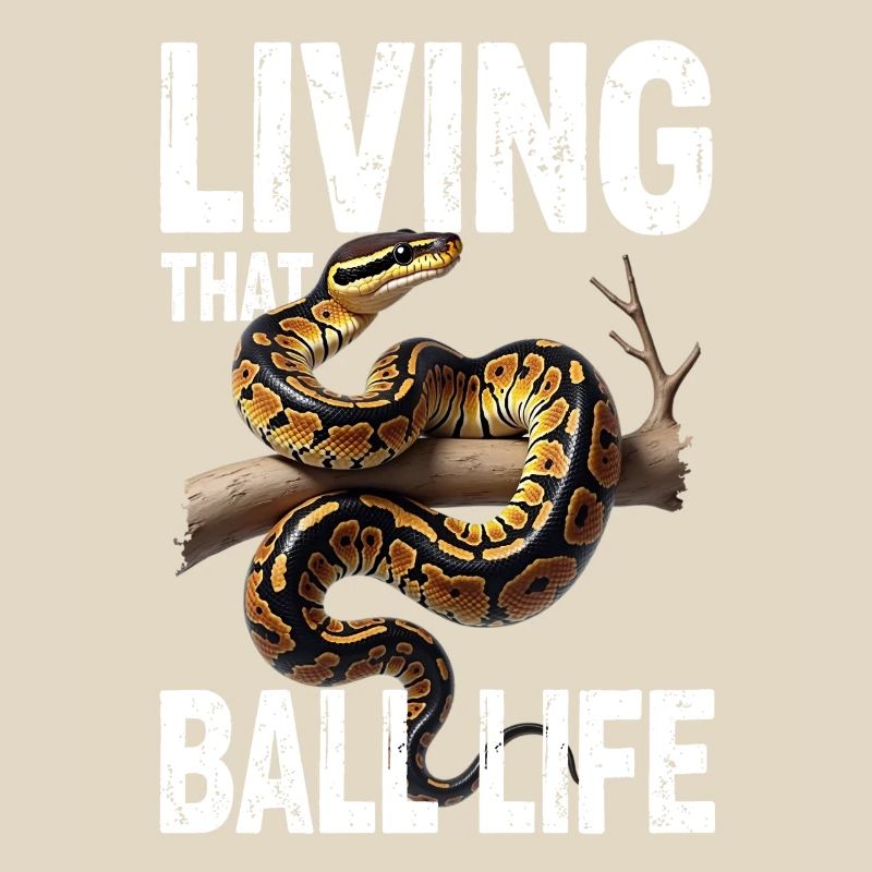 Python roi Serpents Amateurs de terrarium Python