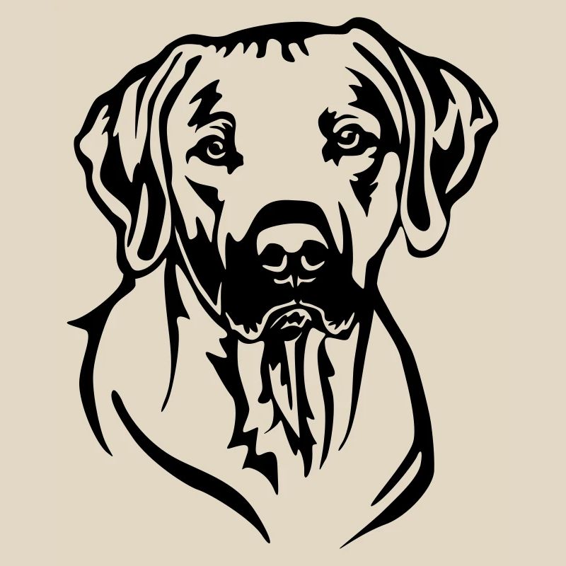 Rhodesian Ridgeback Head