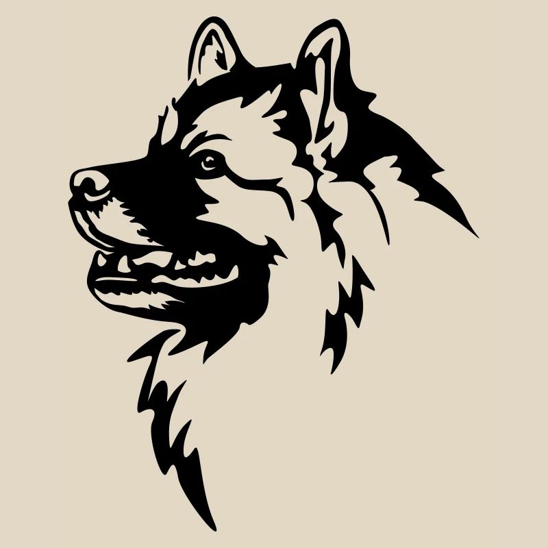 Wolfsspitz Head