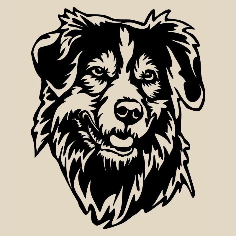 Australian Shepherd Kopf