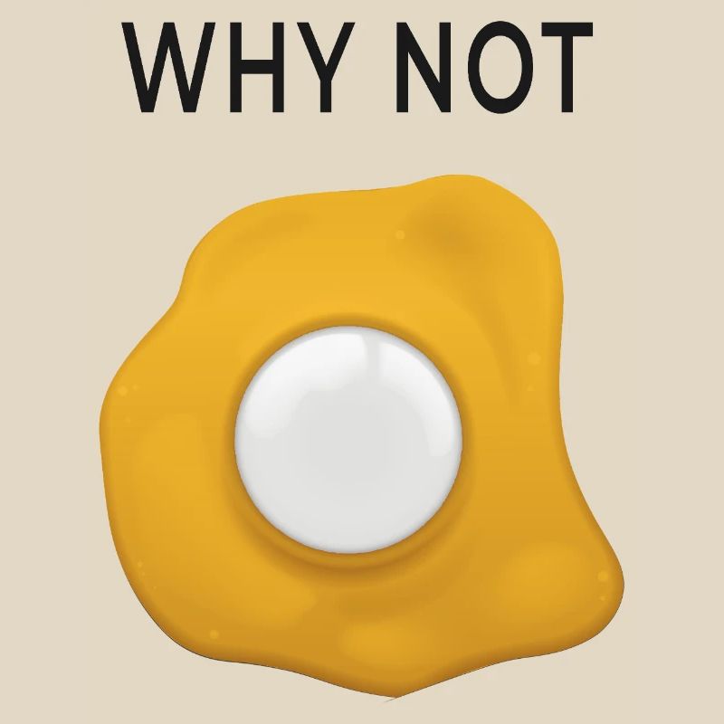 Why Not Rethinking Fried Eggs