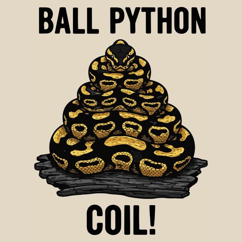 Royal Python Ball Python Coil Reptile Pyramid