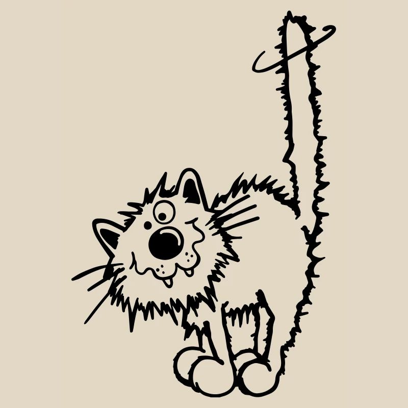 Drôle Chat