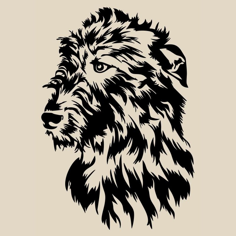 Irish Wolfhound head