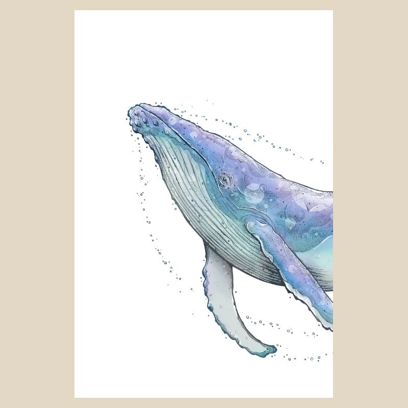 Humpback whale