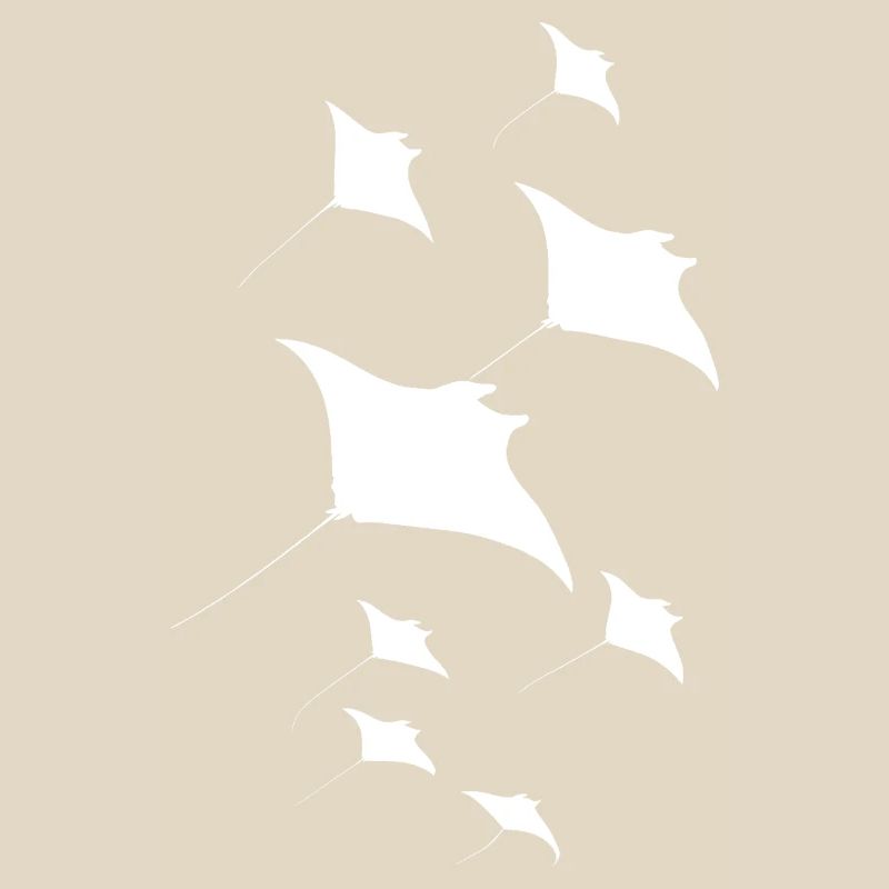 Manta Ray, Devil Ray, Stingray, Diver