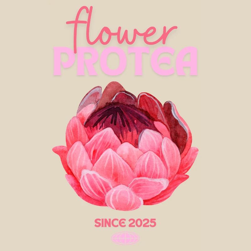 Protea Protea Fleur Proteas Fleurs roses