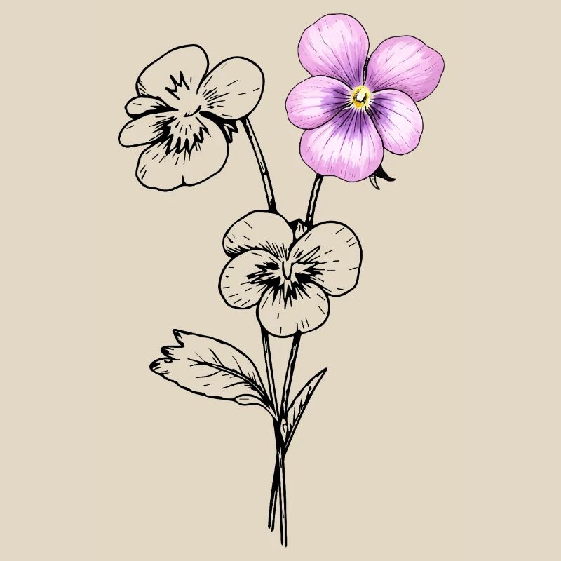 Illustration de fleurs de pensée