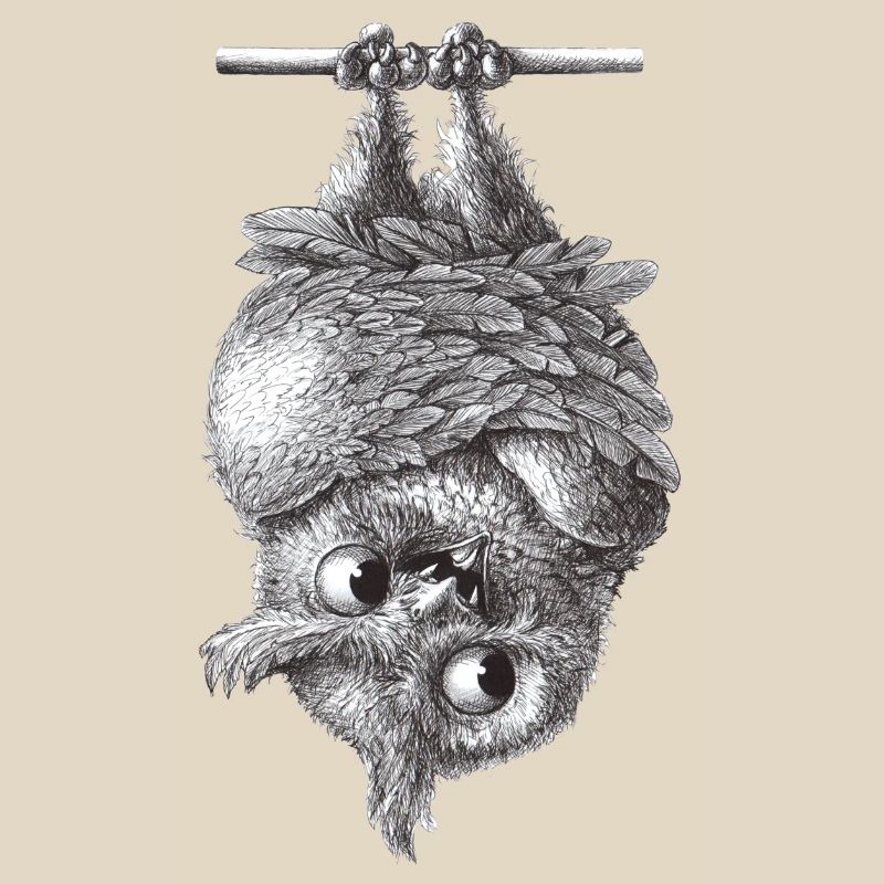 Vampir Eule - Dracula Eule