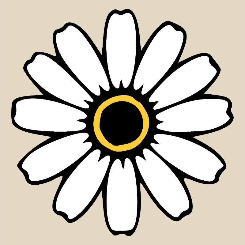 Fleurs blanches Fleurs blanches Fleurs blanches Fleurs sauvages Herbes